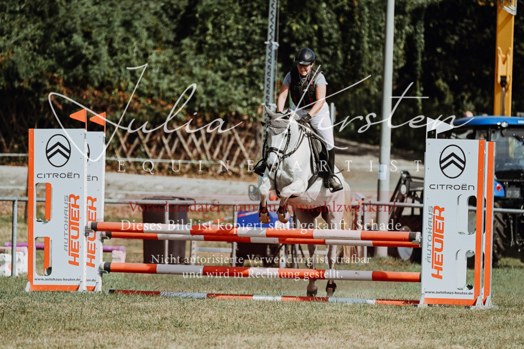 DSC_9356 | Pferde- und Turnierfotografie in Westsachsen. Pferdeportraits, Auftragszeichnungen und intuitive Kunst.