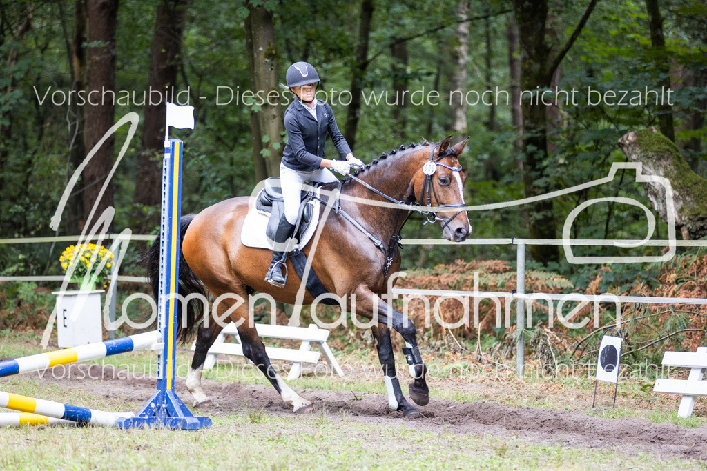 HB-Caprilli-011 | MomenTaufnahmen Pferdesportfotos