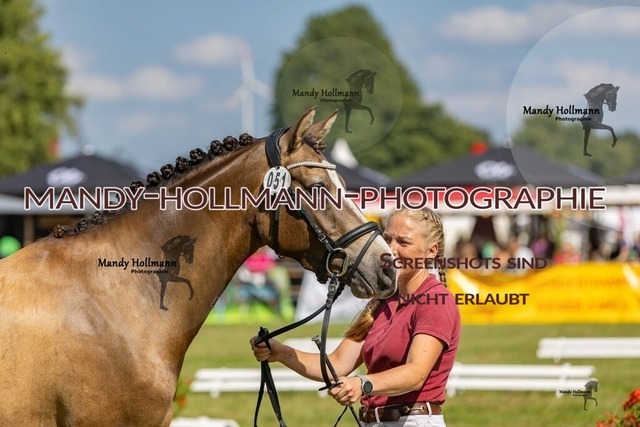 LTN STUTEN 2 (292) | mandyhollmannphotographie