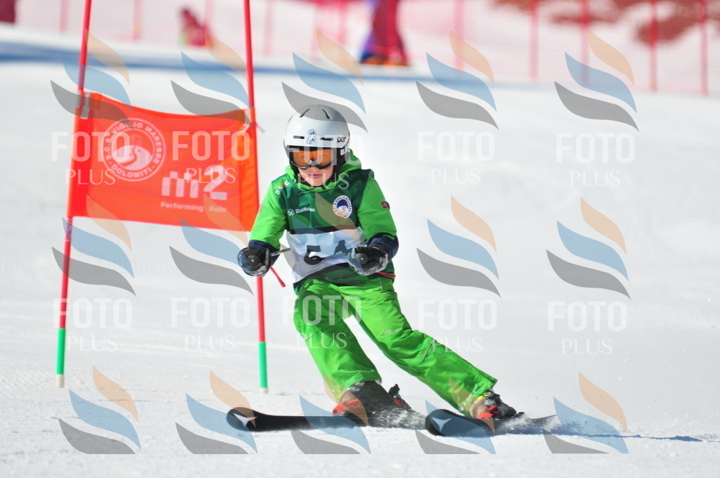 C2875 | holidayphoto