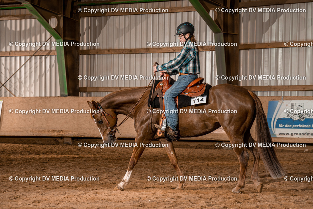 BAL02170 | dv-media-shop - Realisiert mit Pictrs.com