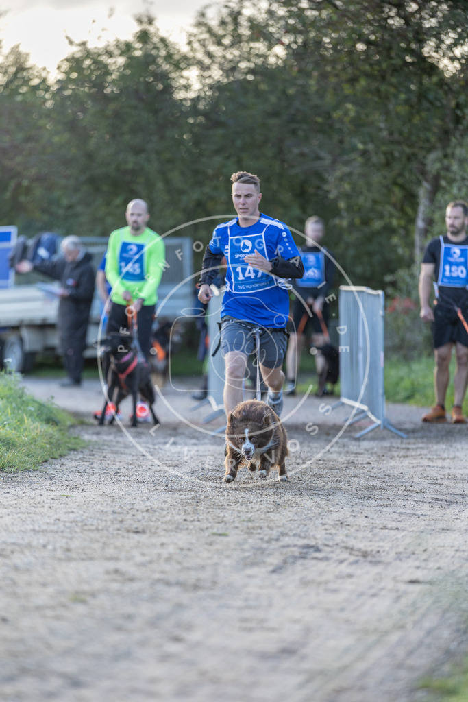 Pfotenfotografie.de_DV3A2765 | Hundefotografie, Tierfotograf, Pfotenfotografie, Fotoshooting Hund, Hunde Portrait, Hundesport, Hundeportraits, Heideshooting, Hunde, Sportfotograf, Hundefotograf, Turnierhundsport, THS, canicross - Realisiert mit Pictrs.com
