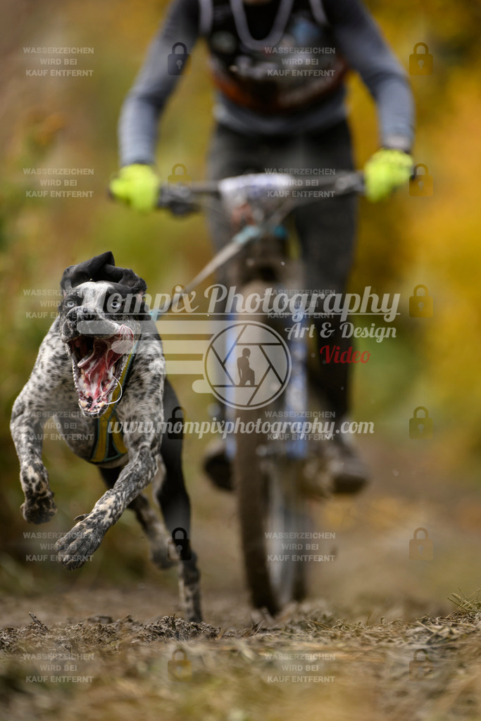 MompixPhotography_ICF_WC_2024_SA_Bike_-165 | PayLife