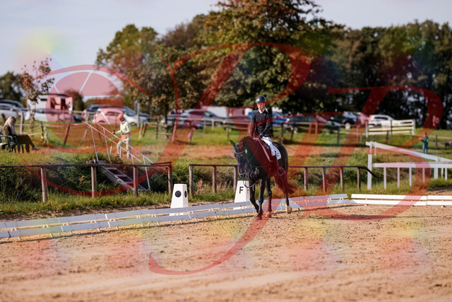 2026_10_03_Siefer-Hof_115627_Z81_97441886 | Professionelle Reitsport-, Turnier- und Eventfotografie von Robert Broda. Galerien mit ausgewählten und bearbeiteten Bildern direkt online ansehen und bestellen.