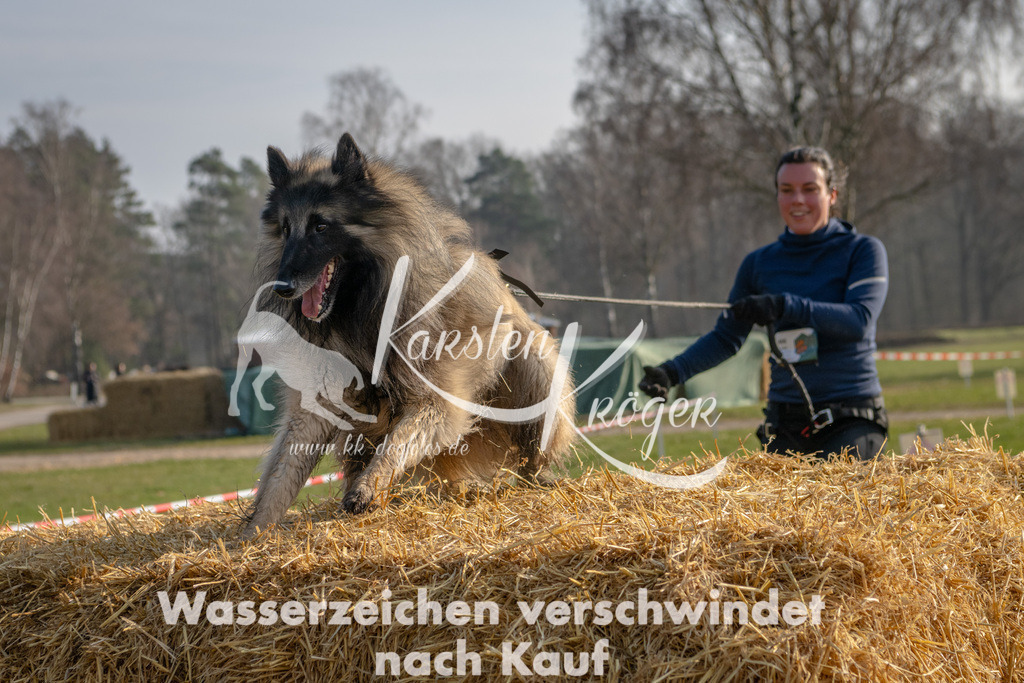 _ZZ92382 | kk-dogfotos