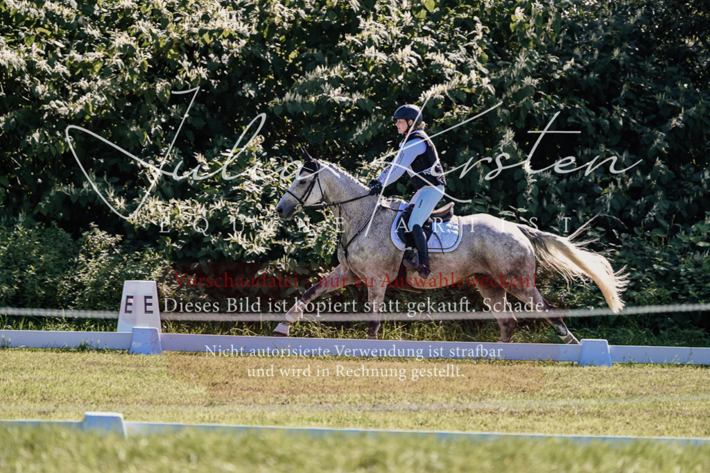 DSC_1381 | Pferde- und Turnierfotografie in Westsachsen. Pferdeportraits, Auftragszeichnungen und intuitive Kunst.