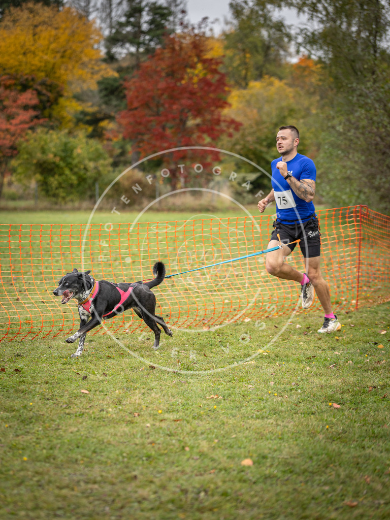 Pfotenfotografie_DV3A2938 | Hundefotografie, Tierfotograf, Pfotenfotografie, Fotoshooting Hund, Hunde Portrait, Hundesport, Hundeportraits, Heideshooting, Hunde, Sportfotograf, Hundefotograf, Turnierhundsport, THS,  - Realisiert mit Pictrs.com