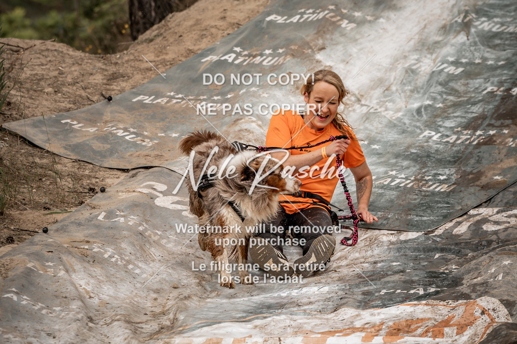 nelerasche_sa0800-1000_62 | nelerasche