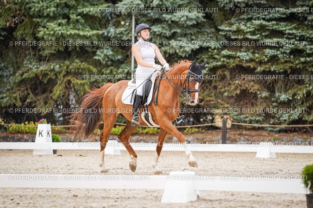 DSC08554 | Pferdegrafie