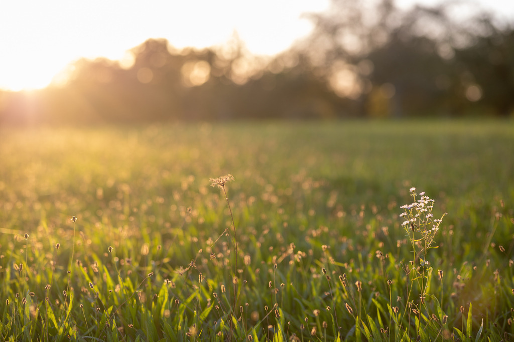 IMG_4791 | ehrlichefotos - Realisiert mit Pictrs.com