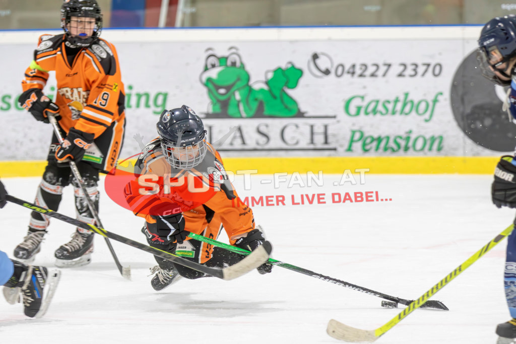Eishockey | Eishockey, KEHV U10 Abschlussturnier am 17.03.2024 in Ferlach (HTC Eissporthalle), Austria, (Photo by Ernst Krawagner sport-fan.at) - Realisiert mit Pictrs.com