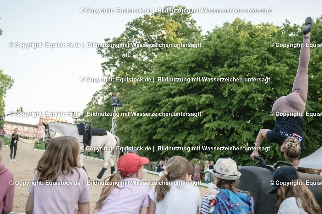 ZFC_4151 | equistock