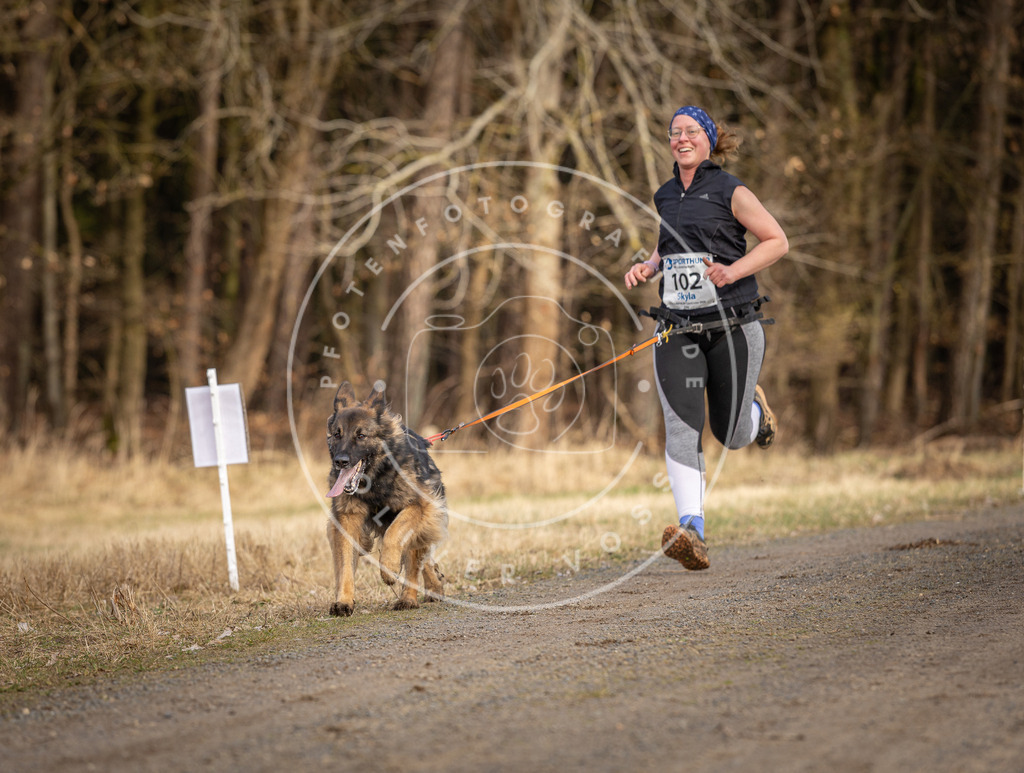 DV3A4072 | Hundefotografie, Tierfotograf, Pfotenfotografie, Fotoshooting Hund, Hunde Portrait, Hundesport, Hundeportraits, Heideshooting, Hunde, Sportfotograf, Hundefotograf, Turnierhundsport, THS,  - Realisiert mit Pictrs.com