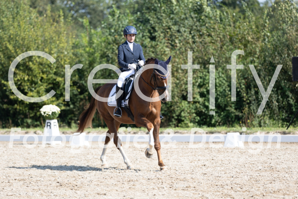 IMG_4386 | Creatify Fotografie