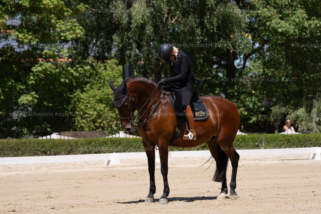 WS_DR_97_sinafilmart_IN08453 | working equitationturnier fotograf videograf stoibphotography marixx film working equitation deutschland reitsport turnierfotografie eventfotografie equestrian events