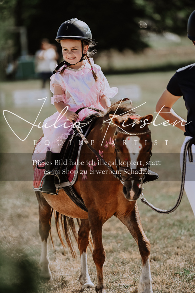 DSC_9001 | Pferde- und Turnierfotografie in Westsachsen. Pferdeportraits, Auftragszeichnungen und intuitive Kunst.