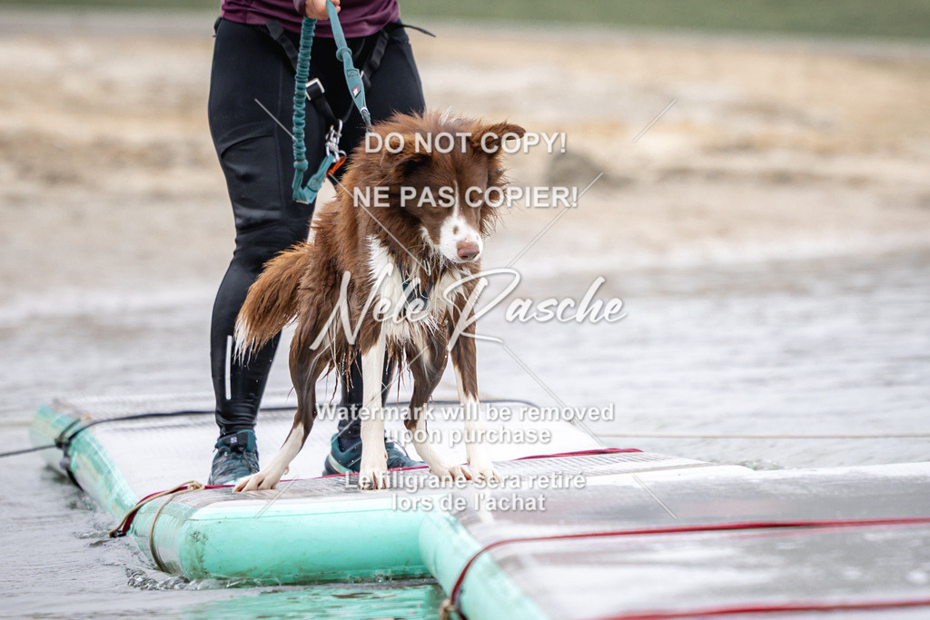 nelerasche_Hulsbeek_Sa0845-1030_554 | nelerasche