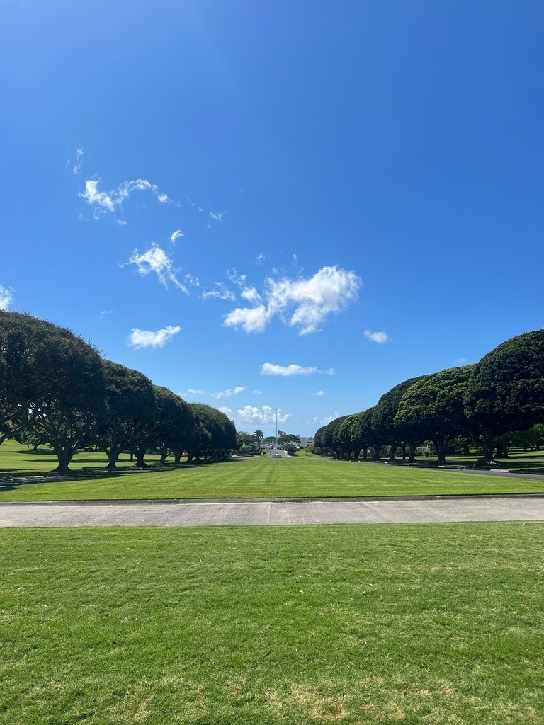 IMG_7872 | ace - Realisiert mit Pictrs.com