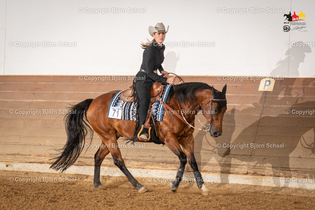 LMS06583 | BS-foto