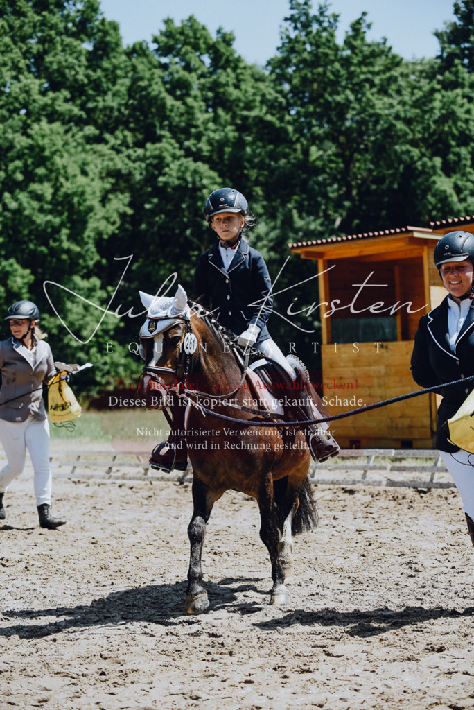 DSC_2359 | Pferde- und Turnierfotografie in Westsachsen. Pferdeportraits, Auftragszeichnungen und intuitive Kunst.