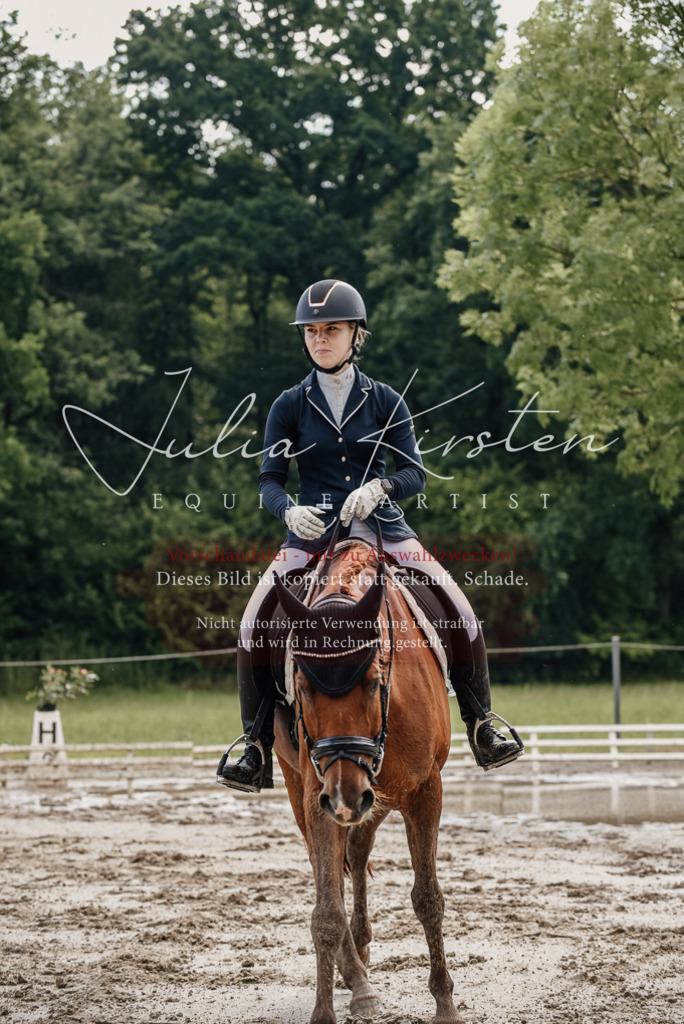 DSC_8981 | Pferde- und Turnierfotografie in Westsachsen. Pferdeportraits, Auftragszeichnungen und intuitive Kunst.