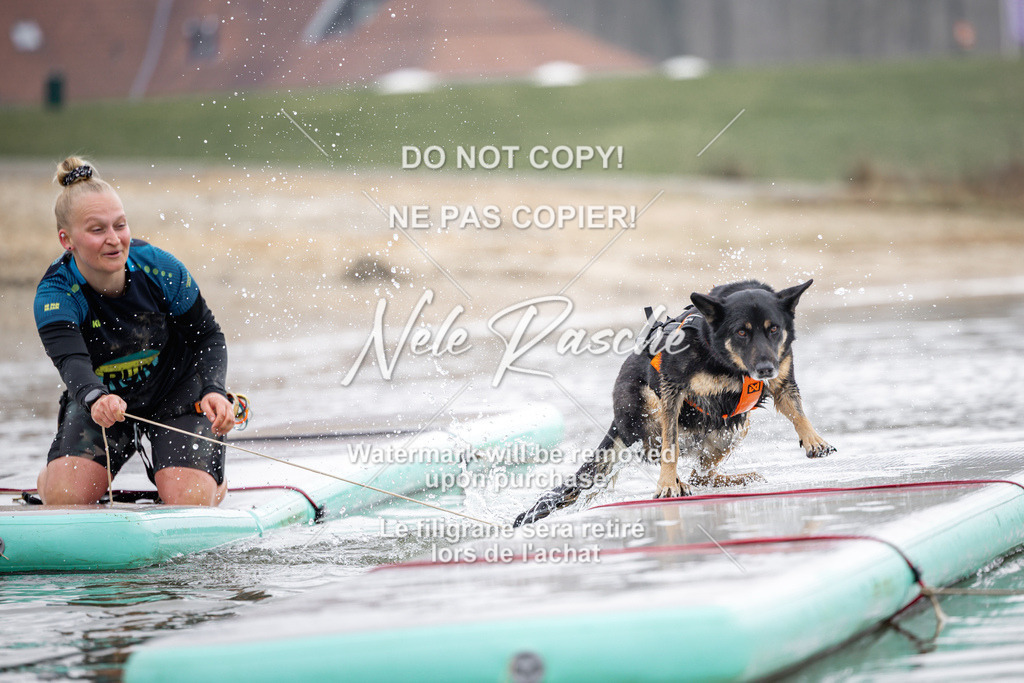 nelerasche_Hulsbeek_Sa1100-1130_487 | nelerasche