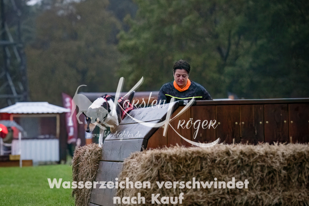 0805-_ZZ90129-Bearbeitet-Bearbeitet | kk-dogfotos