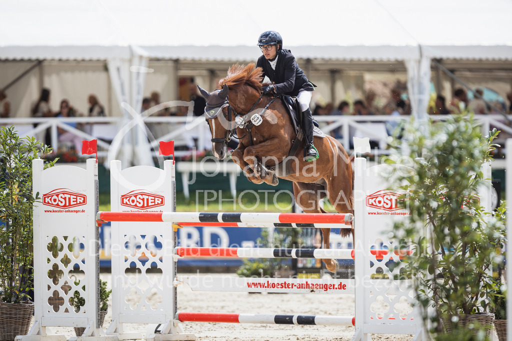 250713_BHO_M2-Spr-2-631 | Deine schönsten Turniermomente als professionelle Fotos! Entdecke hochwertige Pferdesport-Fotografie im Online-Shop. Jetzt Fotos finden & bestellen!