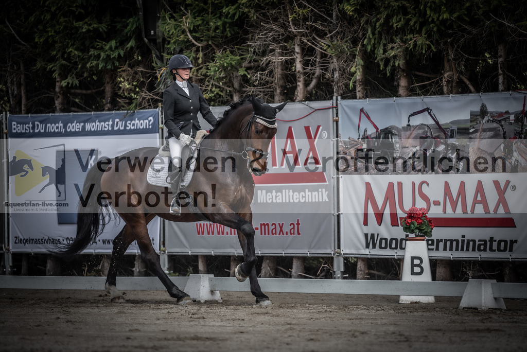 DSC_2303 | equestrian-live-com