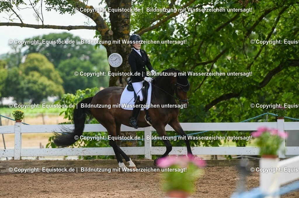 20230716_03_Dressurprfg. Kl.L - Tr._0456 | equistock