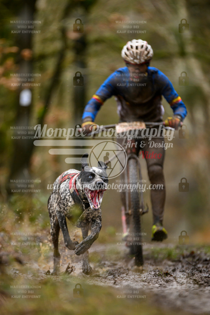 MompixPhotography_CDSM24_SA_DS1-5 | mompixphotography