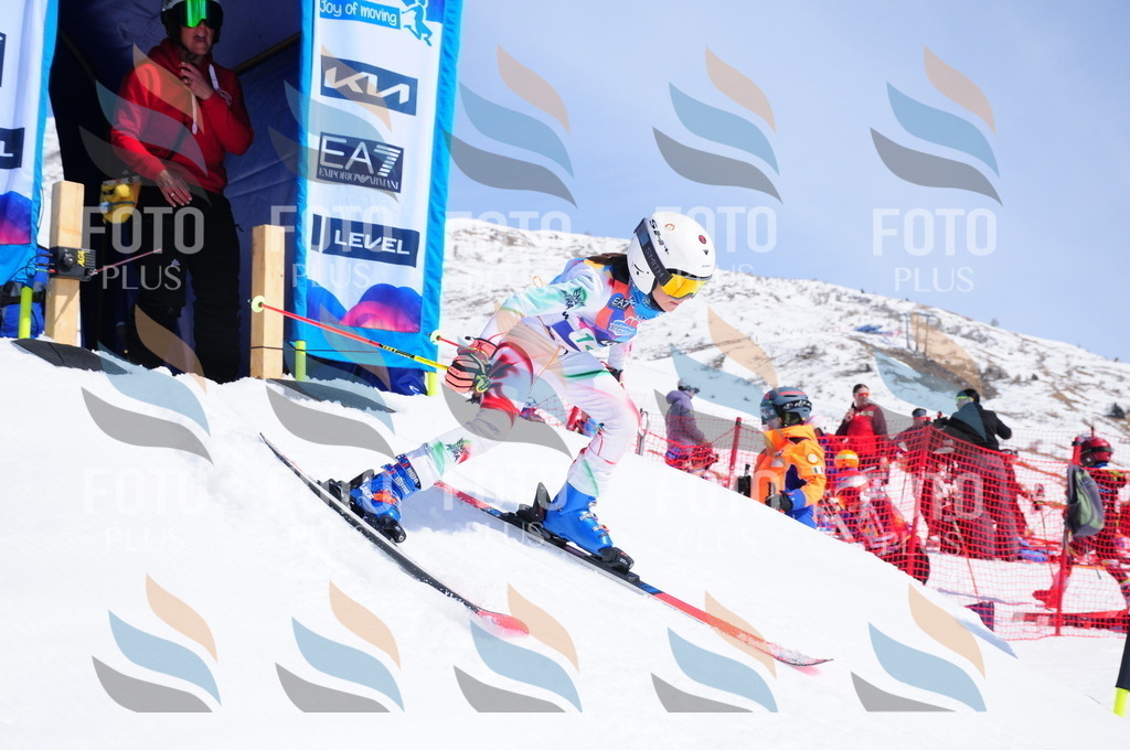 DSC_1225 | holidayphoto