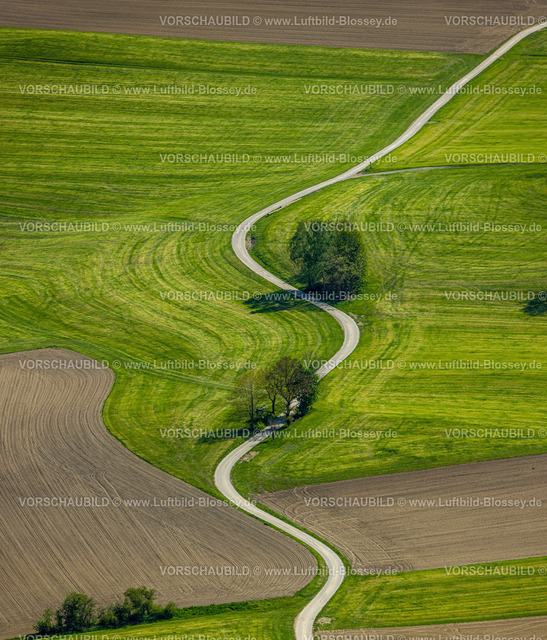 Meschede240505957 | Luftbild, schlangenförmige Straße zwischen Wiesen und Felder nahe dem Ort Löttmaringhausen, Bäume am Wegesrand, Formen und Farben, Berghausen, Meschede, Sauerland, Nordrhein-Westfalen, Deutschland