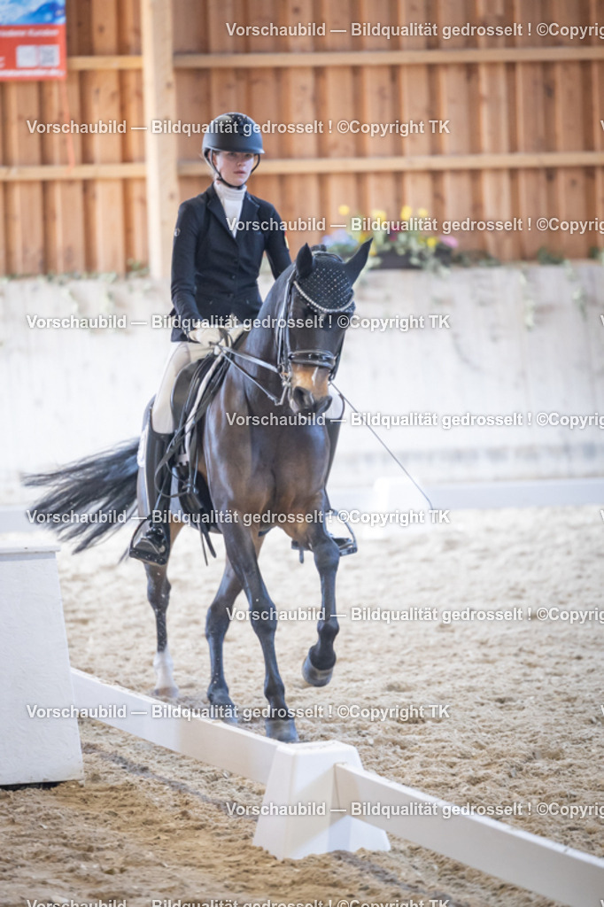 _D5A5169 | Emotionale Pferde- & People-Fotografie rund um Heidelberg, Leimen & Umgebung. Natürliche Fotos von Pferd, Mensch & Familie. Jetzt Termin sichern!