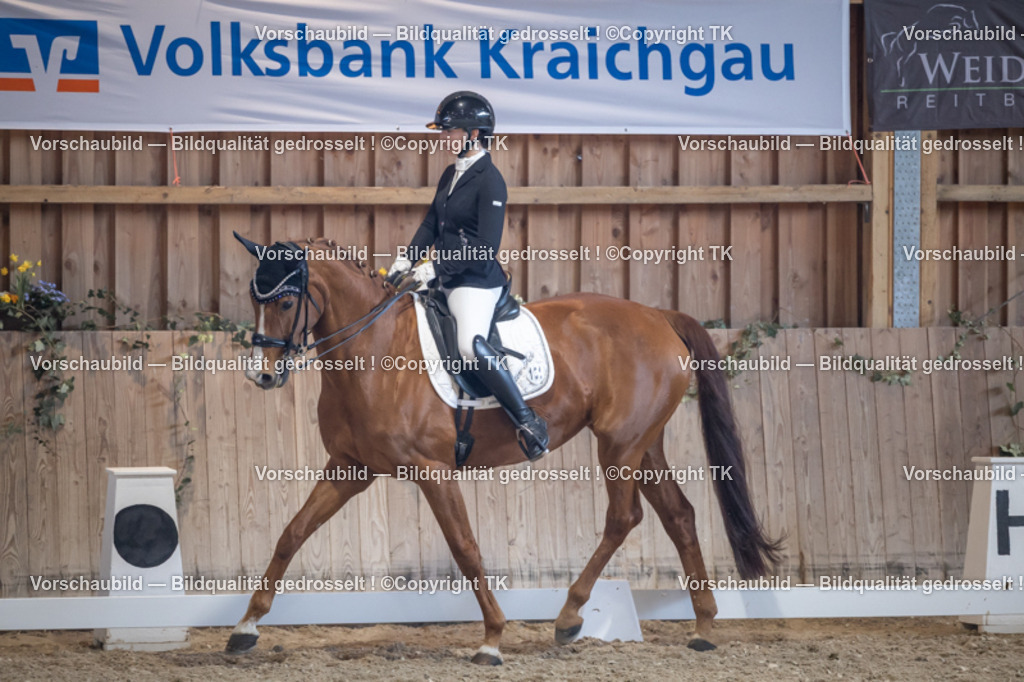 _D5A4910 | Emotionale Pferde- & People-Fotografie rund um Heidelberg, Leimen & Umgebung. Natürliche Fotos von Pferd, Mensch & Familie. Jetzt Termin sichern!