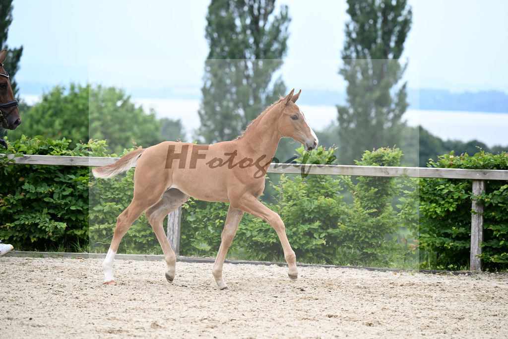 Kat-Nr. 7 Extreme U.S. x Destano_SF_Butolo u Reininger_14250414 | hf-fotografie - Realizzato con Pictrs.com