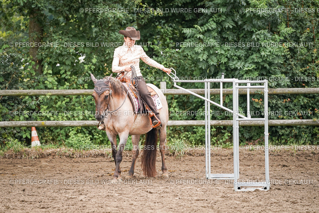 DSC03064 | Pferdegrafie