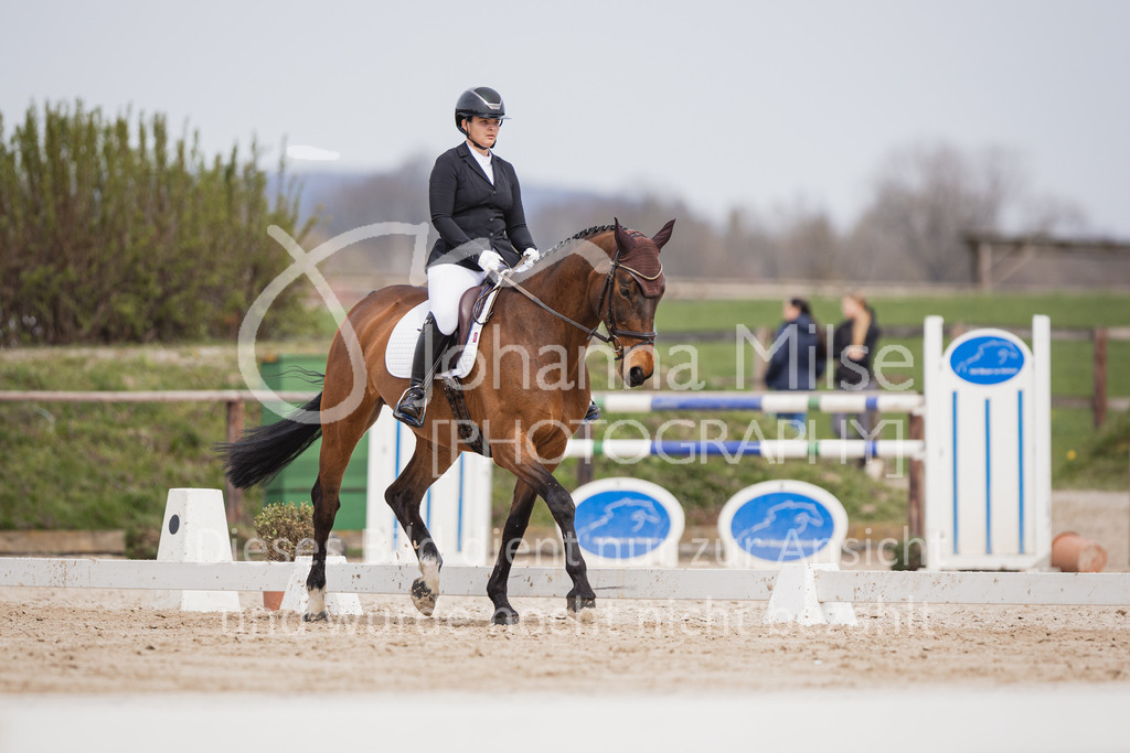 230410_Frühlingsfest_A-Dressur-423 | Deine schönsten Turniermomente als professionelle Fotos! Entdecke hochwertige Pferdesport-Fotografie im Online-Shop. Jetzt Fotos finden & bestellen!