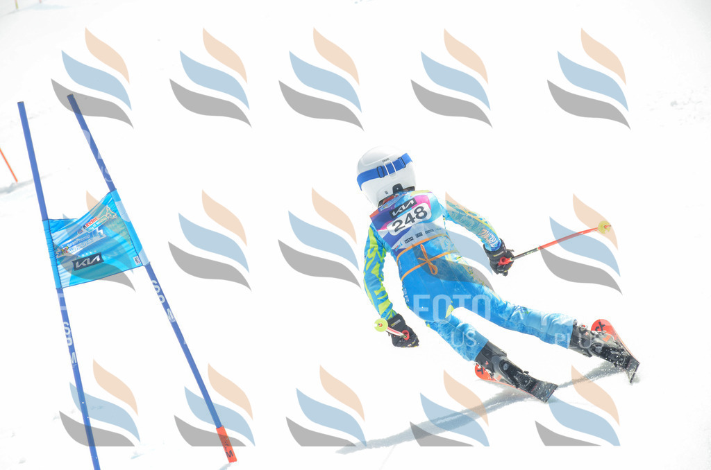 _ELE7528 | holidayphoto