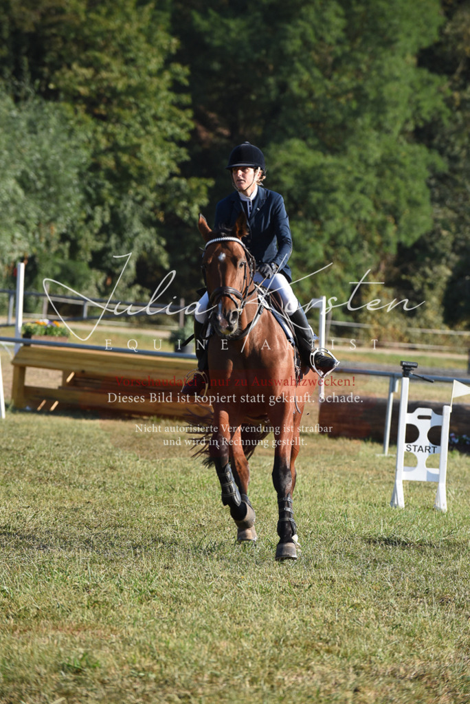DSC_5020 | Pferde- und Turnierfotografie in Westsachsen. Pferdeportraits, Auftragszeichnungen und intuitive Kunst.
