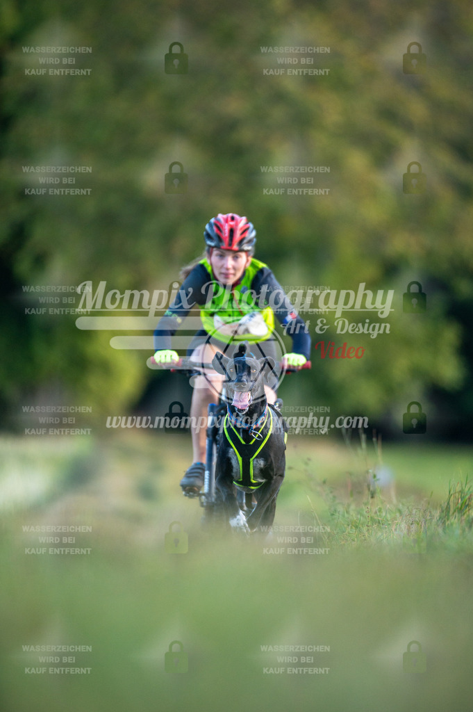 CDLBDB_15_10_2023_Dimanche-97 | PayLife