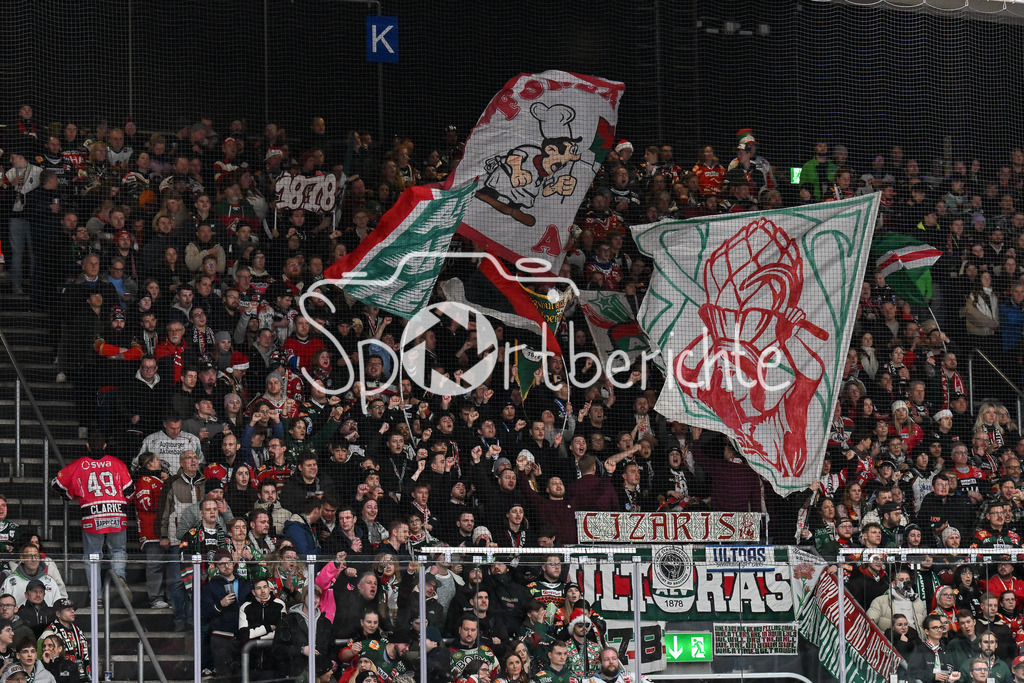 Augsburger Panther - Nürnberg Ice Tigers | Die Fans der Augsburger Panther feuer ihr Team an / DEL: Augsburger Panther - Nuernberg Ice Tigers, Curt Frenzel Stadion am 06.12.2024