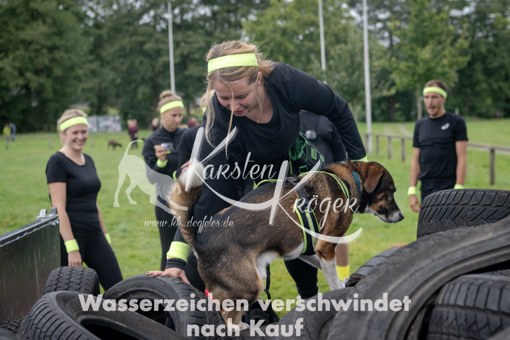 1233_ZZ91253 | kk-dogfotos