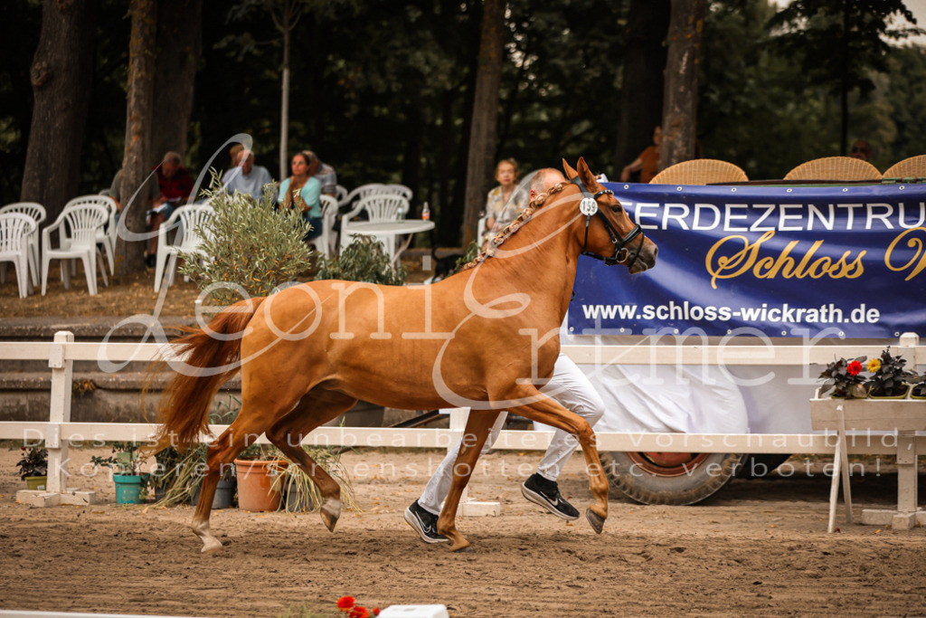 10.-12.Elite00079 | Leoni Ertmer Photography - Realisiert mit Pictrs.com