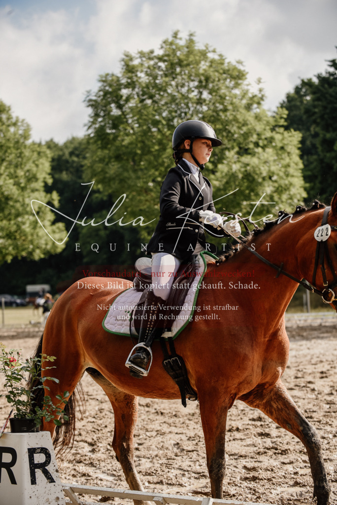 DSC_9186 | Pferde- und Turnierfotografie in Westsachsen. Pferdeportraits, Auftragszeichnungen und intuitive Kunst.