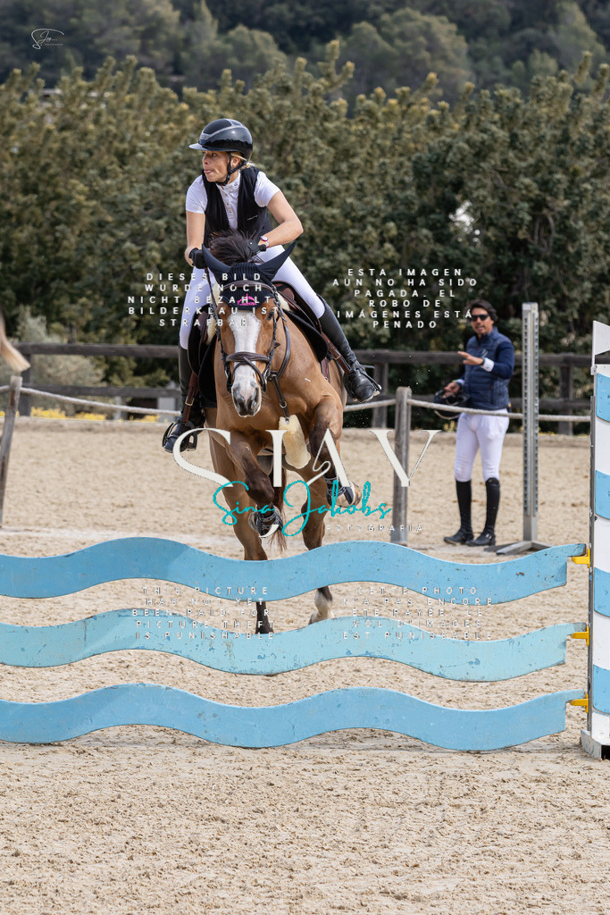 IMG_3655 | s-jay-photography - Realisiert mit Pictrs.com