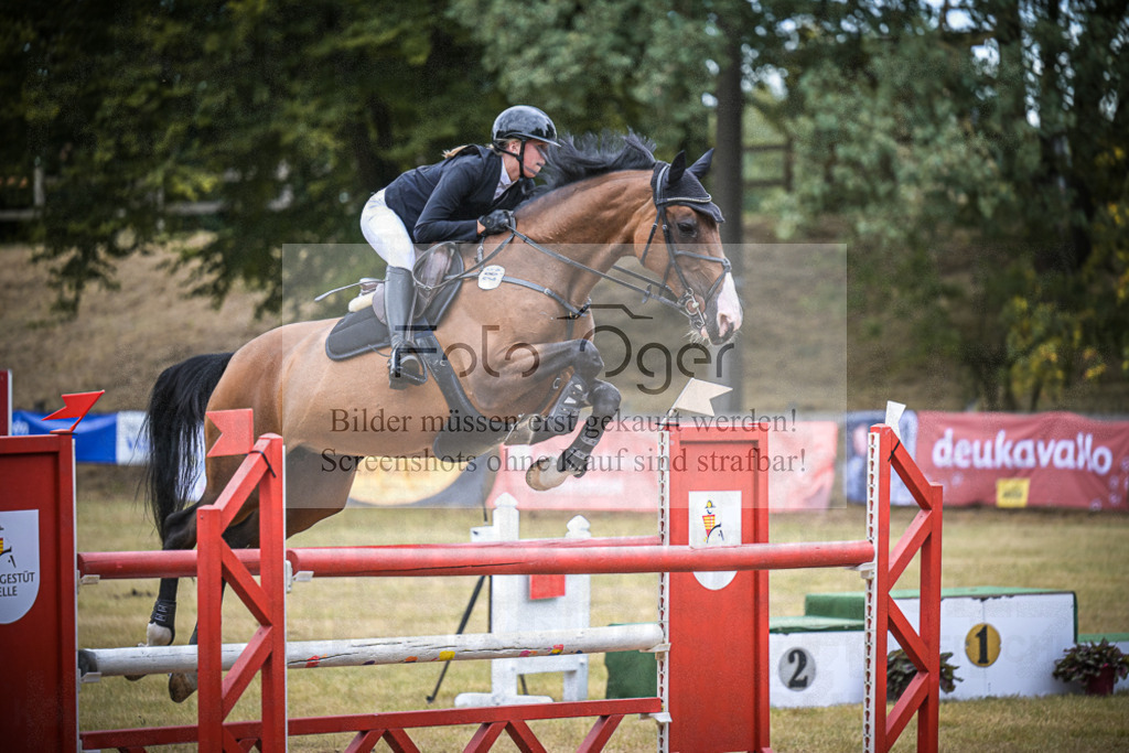 DOS_0084 | Entdecke hochwertige Reitturnierfotos von Foto Oger. Professionell, emotional und authentisch – jetzt Lieblingsmomente im Shop bestellen.Deutschlandweite Turnierfotografie. - Realisiert mit Pictrs.com