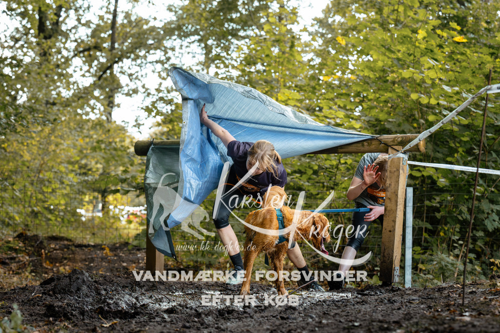 1414DZ6_1260Z6 | kk-dogfotos