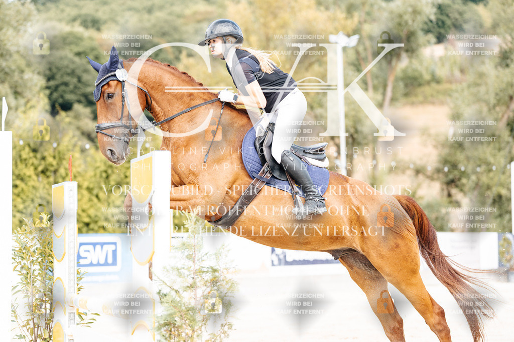CK908995 | Turnierfotografie Pferdefotografie Trier Rheinland-Pfalz Pferdesport Reitsport Tierfotografie Sportfotografie Pferdevideo Pferdevideografie Equestrianvideography equestrianphotography  - Realisiert mit Pictrs.com