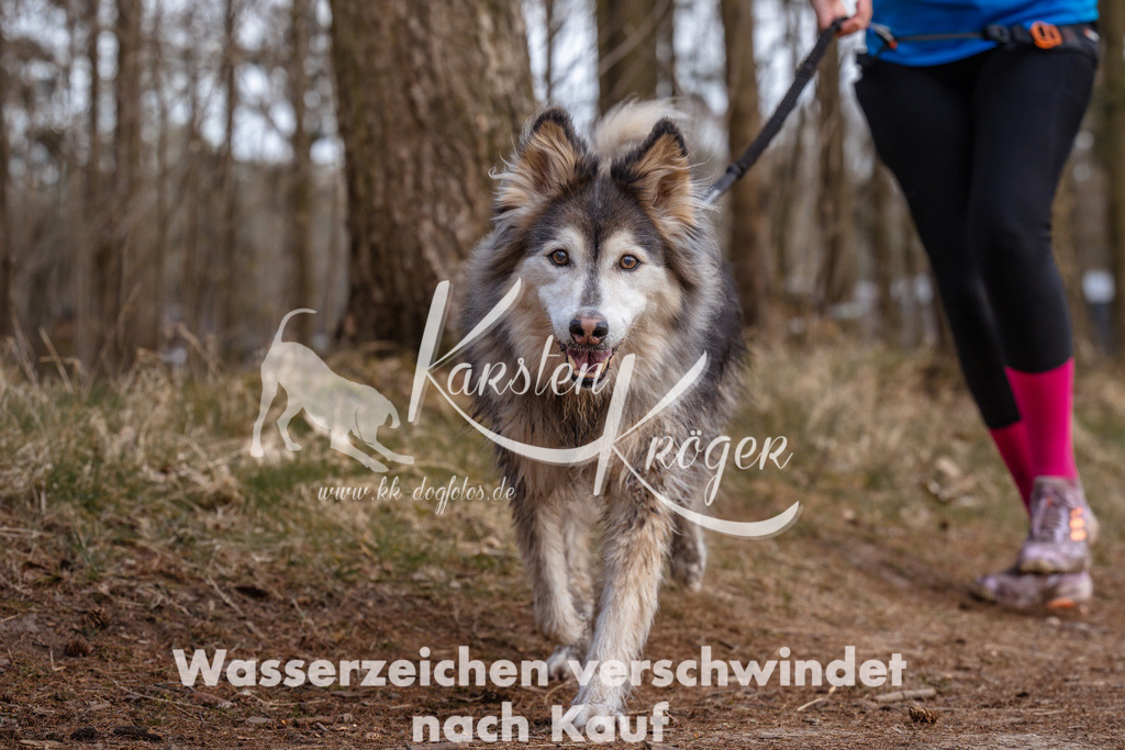 1658_ZZ95751 | kk-dogfotos